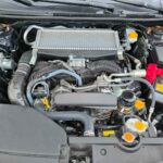 Imagen de WhatsApp 2025-11-03 a las 16.53.36_0a87809e_13_11zon