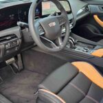 WhatsApp Image 2026-02-23 at 2.44.53 PM_5_11zon