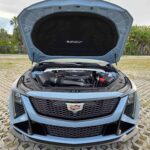 WhatsApp Image 2026-02-23 at 2.45.02 PM_12_11zon