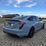 WhatsApp Image 2026-02-23 at 2.45.03 PM_13_11zon