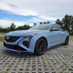 WhatsApp Image 2026-02-23 at 2.45.08 PM_17_11zon