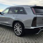 image_12_1772297725519