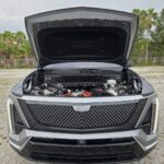 image_5_1772297719150